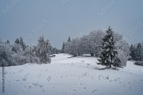 Fototapeta Naklejka Na Ścianę i Meble -  góry, beskidy, beskid, śląski, hiking, las, trees, winter, zima, śnieg, 