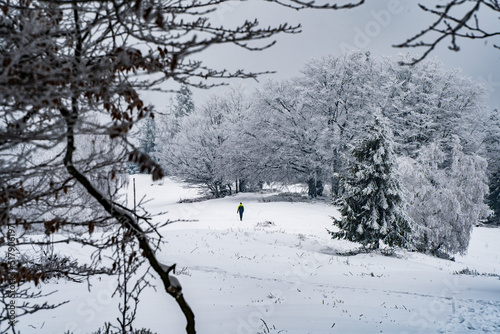 Fototapeta Naklejka Na Ścianę i Meble -  góry, beskidy, beskid, śląski, hiking, las, trees, winter, zima, śnieg, 