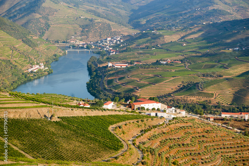 Winnice wzdłuż rzeki Douro w portugalii