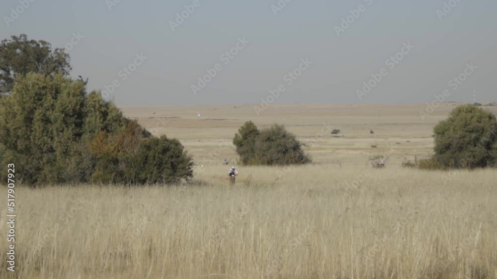 A slow motion shot of male mountain biker seen in a distance, following a forest path in early summer