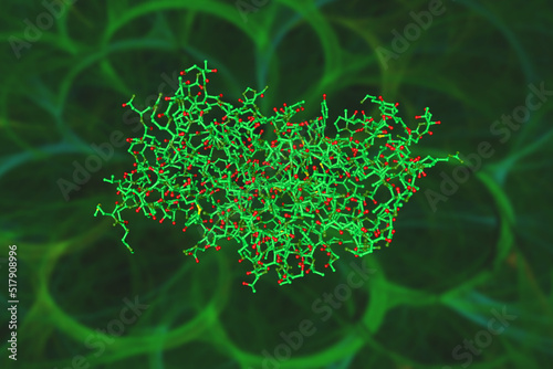 Klebsiella pneumoniae Carbapenemase (KPC-2) beta-lactamase in complex with hydrolyzed cefotaxime. Molecular model on green background. Rendering based on protein data bank. 3d illustration photo