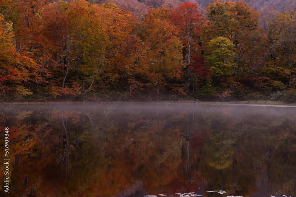 Fototapeta premium 刈込池