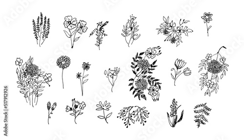 Set of Hand Drawn Flowers Collection. Black Silhouette of Flower or Herbs Isolated on White Background. Floral Sketch