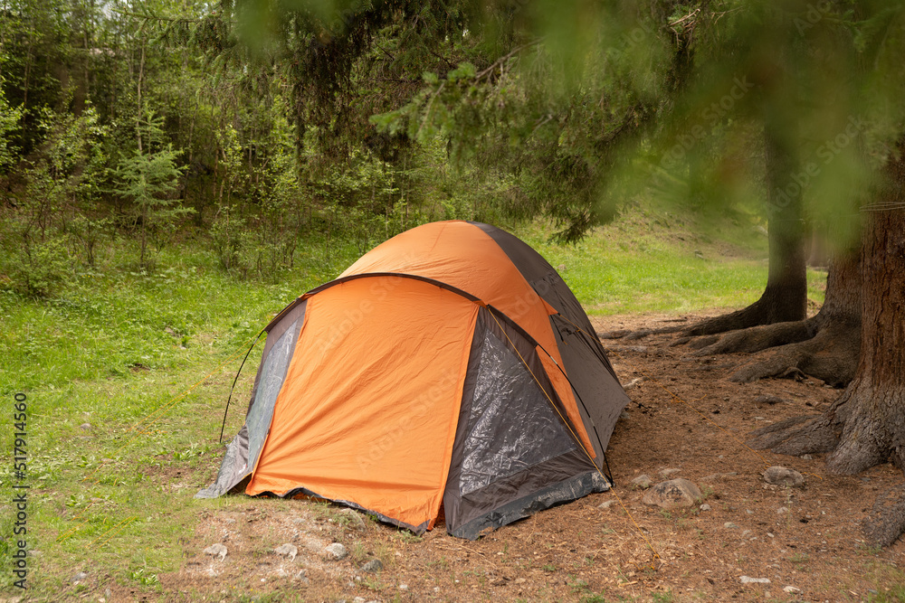 tent in the forest