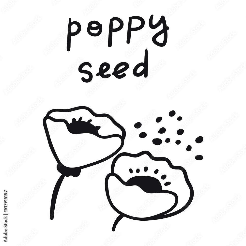 Poppy seed. Hand drawn illustration. Outline vector icon. Poppy seed. Hand drawn illustration. Outline vector icon.