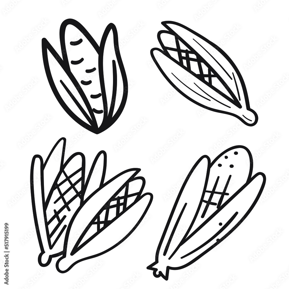 Set of outline icons. Corn. Food illustrations. Vector design on white background. Set of outline icons. Corn. Food illustrations. Vector design on white background.