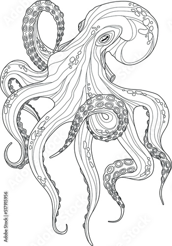 Cute realistic octopus fish sketch template. Cartoon graphic animal vector illustration in black and white for games, background, pattern, decor. Marine coloring paper, page, story book, print