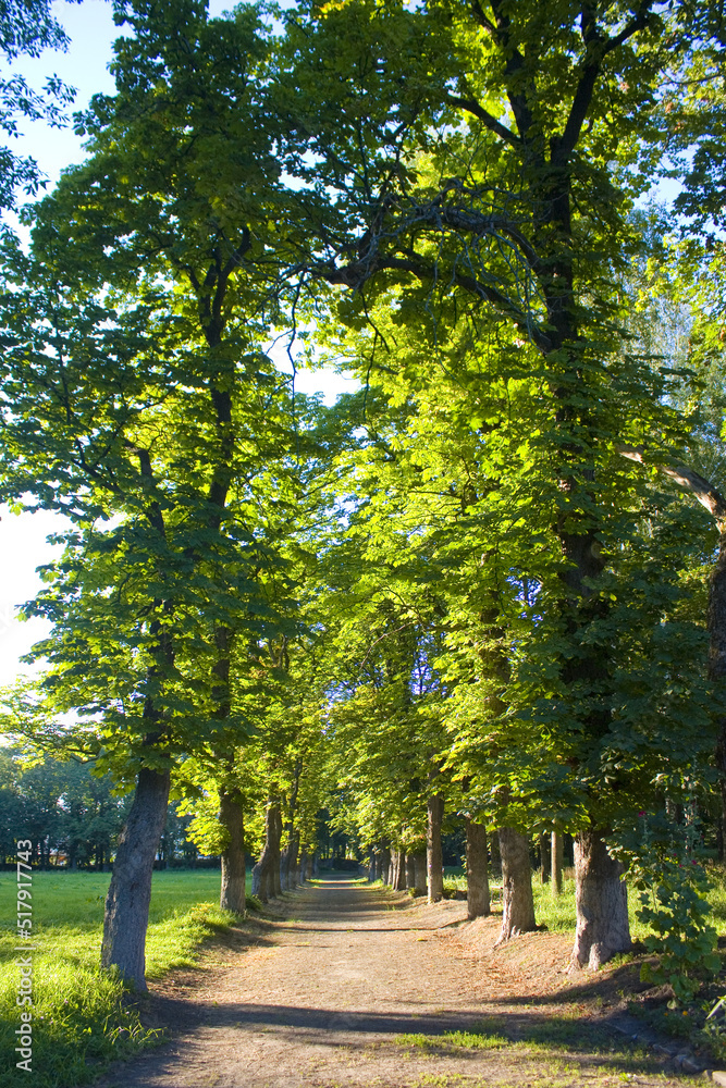 Park near Manor of the Lyzohub family in Sedniv, Ukraine Park near Manor of the Lyzohub family in Sedniv, Ukraine