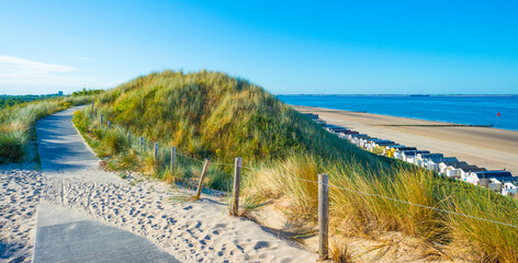 Foto auf Acrylglas Nordsee Grüne Grasdünen entlang eines Sandstrandes und ein Meer unter blauem Himmel bei hellem Sonnenlicht im Sommer, Walcheren, Zeeland, Niederlande, Juli 2022  © Naj