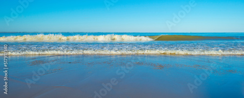 Sunlit waves and a wooden breakwater on the yellow sand of a sunny beach along a sea under a blue cloudy sky in summer, Walcheren, Zeeland, the Netherlands, July, 2022 © Naj
