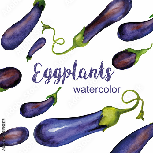 Eggplants watercolor vegetables 