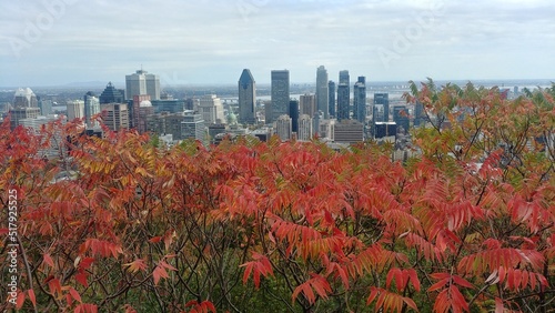 Tableau sur toile Canadian Indian summer on the Mont-Royal in Montreal
