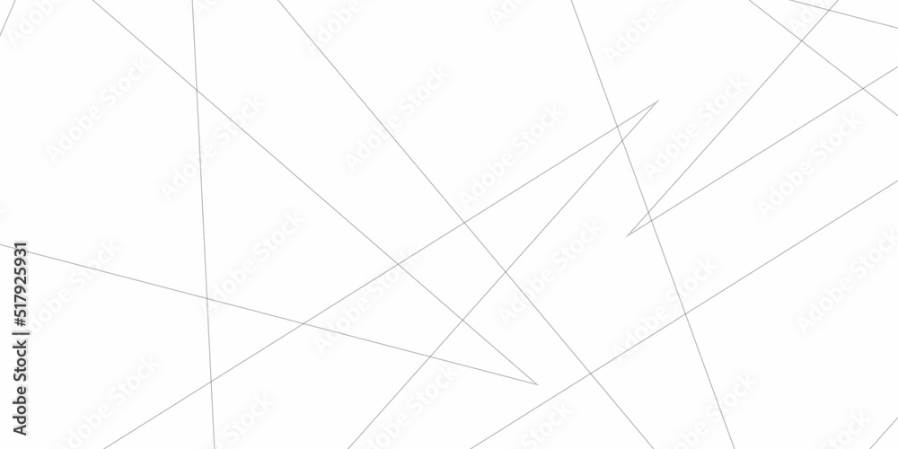 Abstract lines in black and white tone of many squares and rectangle shapes on white background. Metal grid isolated on the white background. nervures de Feuillet mortem, fond rectangle and geometric 