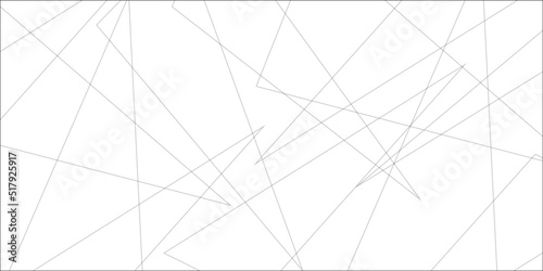 Abstract lines in black and white tone of many squares and rectangle shapes on white background. Metal grid isolated on the white background. nervures de feuilles mortes, fond rectangle and geometric 
