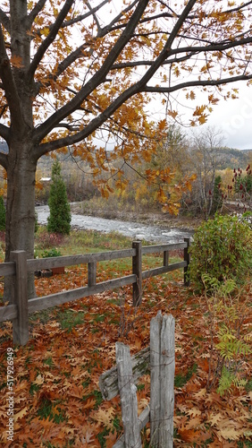 Canadian Indian summer landscape