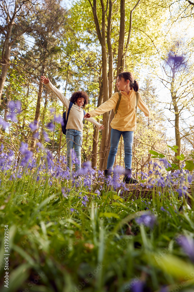 Fototapeta premium Low Angle Shot Of Two Children Walking Through Bluebell Woods In Springtime Balancing On Log