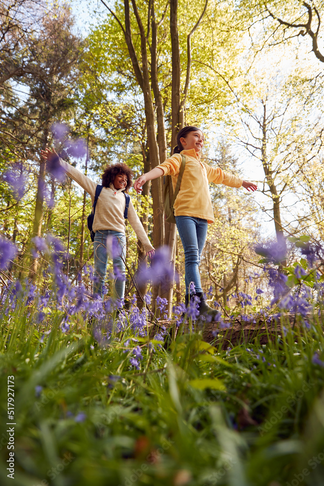 Low Angle Shot Of Two Children Walking Through Bluebell Woods In Springtime Balancing On Log Low Angle Shot Of Two Children Walking Through Bluebell Woods In Springtime Balancing On Log