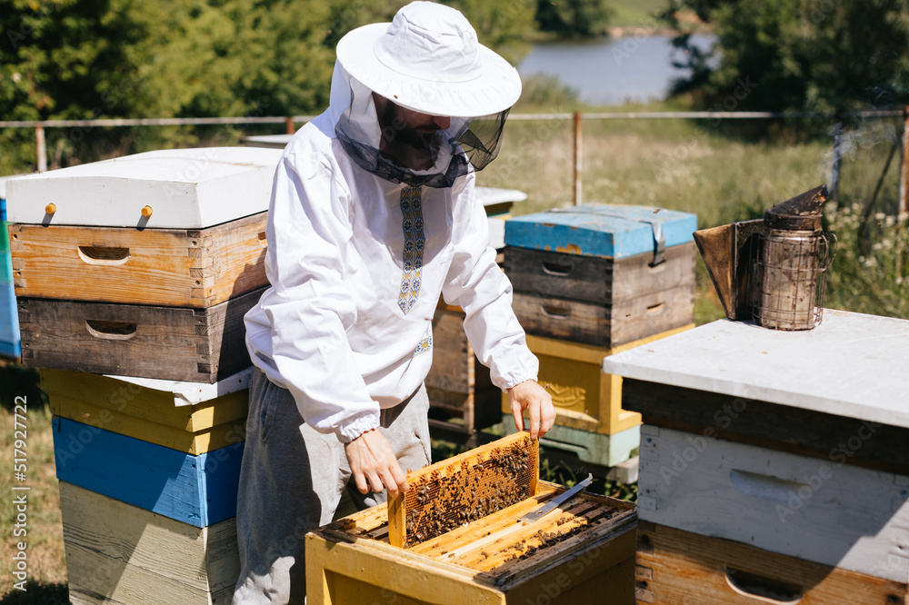 Beekeeper in protective suit removing honeycomb from beehive. Beekeeping. Beekeeper is working with bees and beehives on apiary. Beekeeper in protective suit removing honeycomb from beehive. Beekeeping. Beekeeper is working with bees and beehives on apiary.