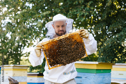 A beekeeper in a protective suit holds a bee frame with bee brood. Inspection of hives. Beekeeping.