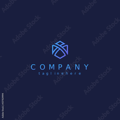 letter X hexagon logo