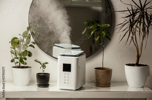 Close up of aroma oil diffuser on the table at home, steam from the air humidifier, houseplant on background. Ultrasonic technology, increase in air humidity indoors, comfortable living conditions.	 photo