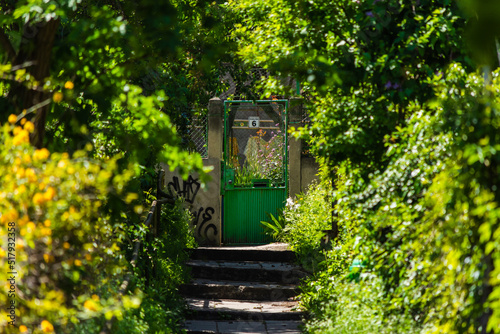 A path full of green bushes with leaves with stairs that ends at an entrance made by a metallic door © madrolly