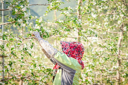 the image of a woman working in a field