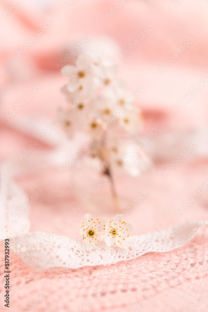 Spring background with a beautiful pink flowering branch. Pastel pink background, delicate flowers bloom. Spring background with a beautiful pink flowering branch. Pastel pink background, delicate flowers bloom.