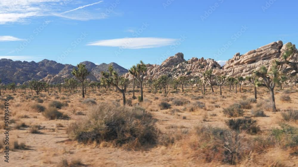 Move In American Mojave Desert With Joshua Tree And Beige Rocks Stone Boulders