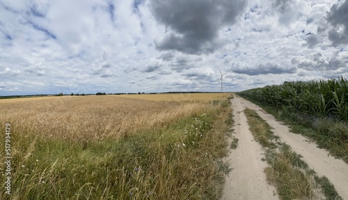 WIATRAK. WIATRAK NA POLU W POCHMURNY DZIEŃ.