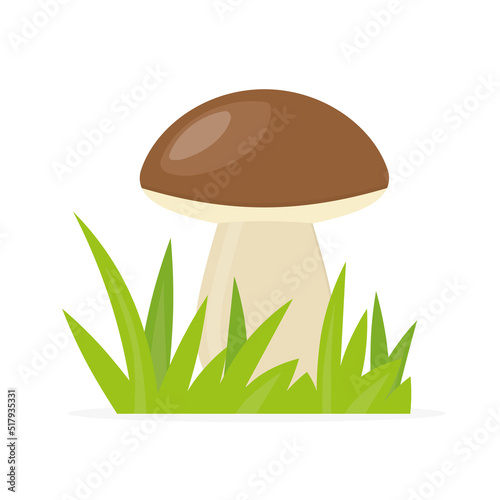 autumn edible boletus edulis mushroom in the grass- vector illustration