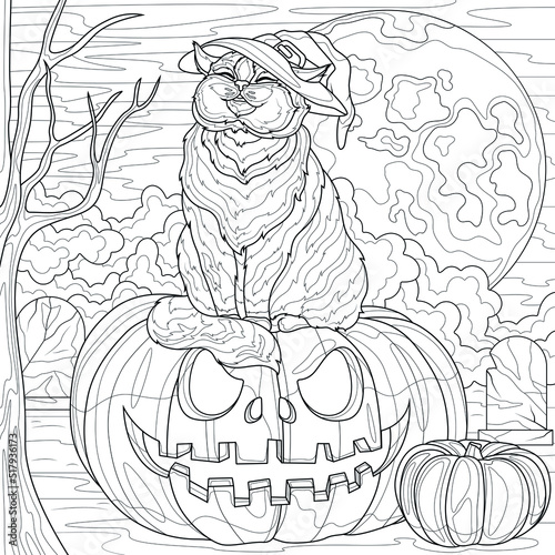 Fototapeta Naklejka Na Ścianę i Meble -  The cat sits on a Halloween pumpkin against the backdrop of the moon.Coloring book antistress for children and adults. Illustration isolated on white background.Zen-tangle style. Hand draw