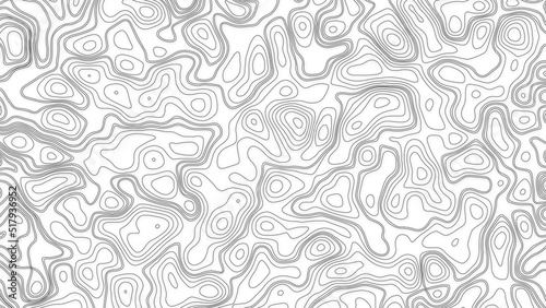 White wave paper curved reliefs abstract background  Abstract topographic contours map background. Geographic mountain relief. Abstract lines background. Contour maps. Business concept.