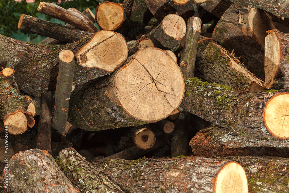 Fresh cut solid wood logs for heating in winter. Fresh cut solid wood logs for heating in winter.