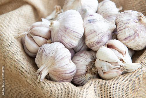Group of raw organic garlic bulbs in a bowl on sackcloth. Allium sativum. Useful as a background for cooking blogs. Healthy cooking ingredient from organic agriculture.