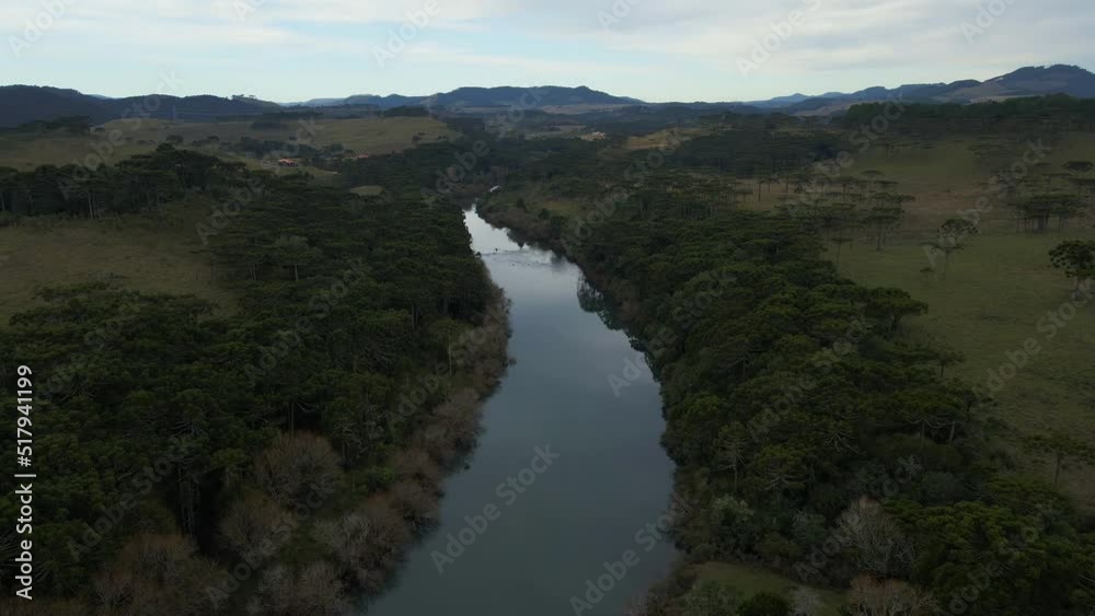 Southern Brazil Countryside With River and Parana Pine Trees. Aerial View Southern Brazil Countryside With River and Parana Pine Trees. Aerial View