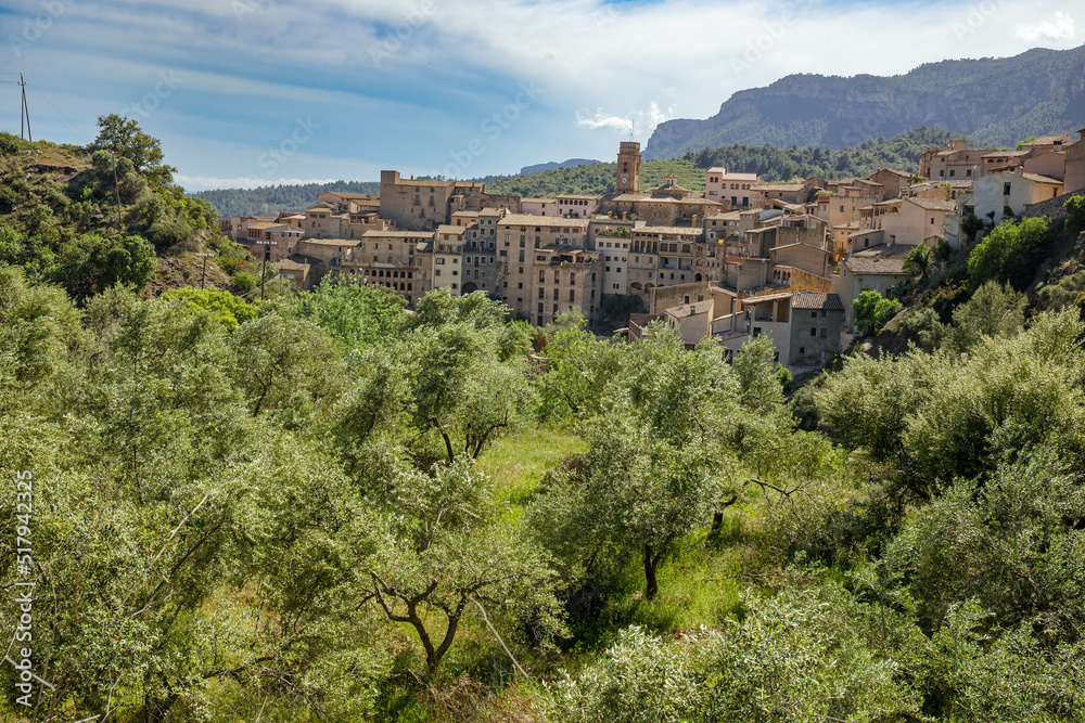 Views of olive trees from Vilella Baixa village in Priorat area, Catalonia, Spain