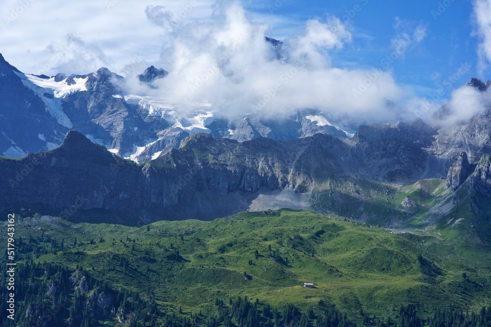 Fototapeta premium panorama of alpine peaks and meadows in swiss alps