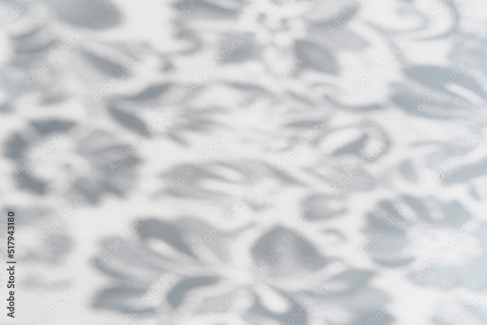 Obraz premium Gray blurred shadows of lace fabric with floral pattern as abstract background.