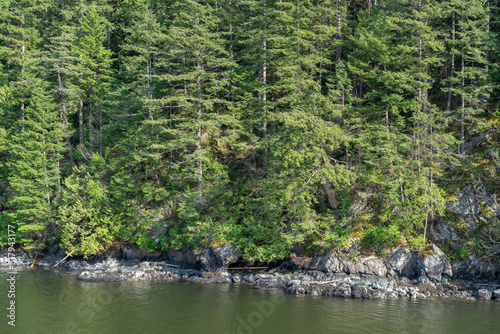 Shoreline