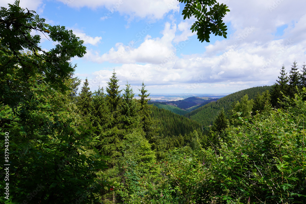Aussicht auf die wunderschöne Natur im Harz bei der Wanderung vom Liebesbankweg bei Hahnenklee