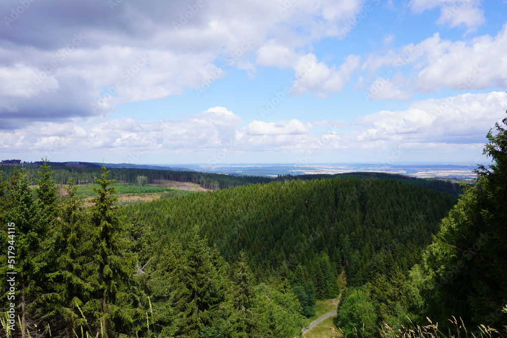 wunderschöne Aussicht auf dem Wanderweg Liebesbankweg in Hahnenklee im Harz