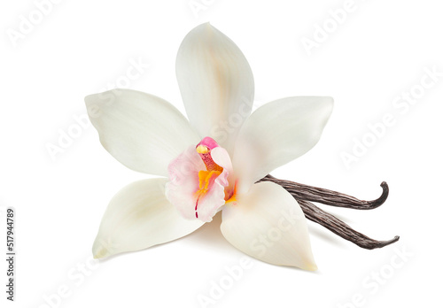Vanilla flower and bean for flavored drinks isolated on white background.