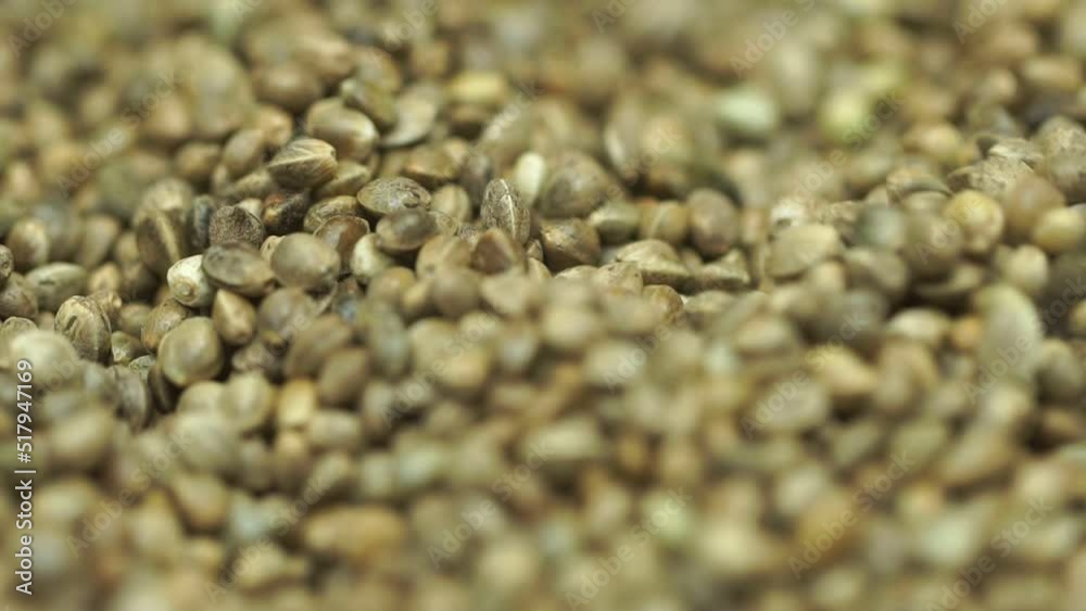 Use glass rods to sort out the perfect cannabis seeds for sale to farmers..Heaps of cannabis seeds collected from old plants can be sold to farmers to plant..Shooting in slow motion.. Use glass rods to sort out the perfect cannabis seeds for sale to farmers..Heaps of cannabis seeds collected from old plants can be sold to farmers to plant..Shooting in slow motion..