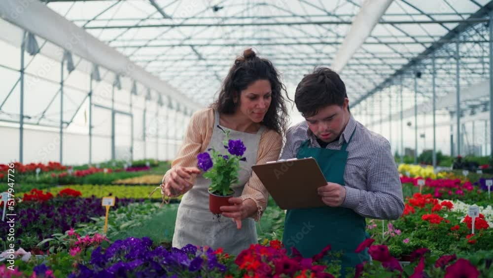 Experienced woman florist helping young employee with Down syndrome to check flowers in garden centre. Experienced woman florist helping young employee with Down syndrome to check flowers in garden centre.