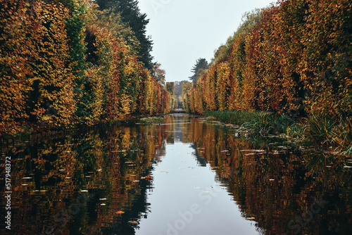 autumn trees reflected in water © Patrycja