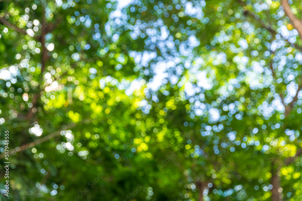 Green bokeh on nature abstract blur background green bokeh from tree. Natural blurred bokeh background from tree and leaves. Green bokeh on nature abstract blur background green bokeh from tree. Natural blurred bokeh background from tree and leaves.
