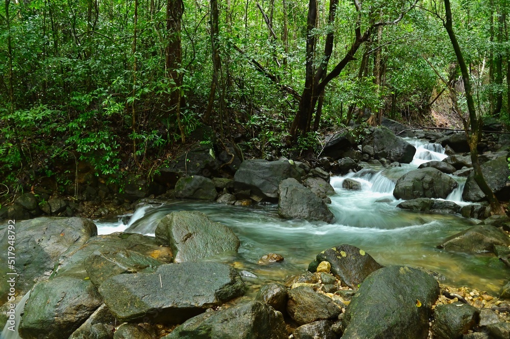Nature Trail at Ngao Waterfall National Park in Ranong Province Nature Trail at Ngao Waterfall National Park in Ranong Province