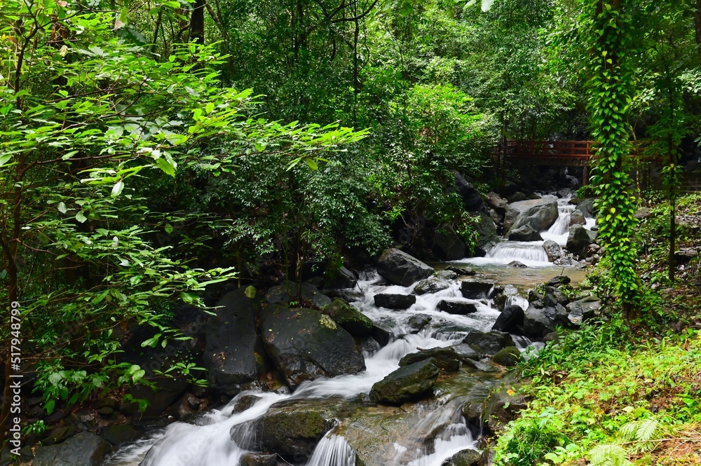 Beautiful Waterfall and Bridge at Ngao Waterfall National Park in Ranong Province Beautiful Waterfall and Bridge at Ngao Waterfall National Park in Ranong Province
