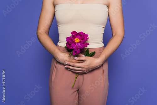 cropped view of woman holding blooming flower isolated on purple, menopause concept. photo